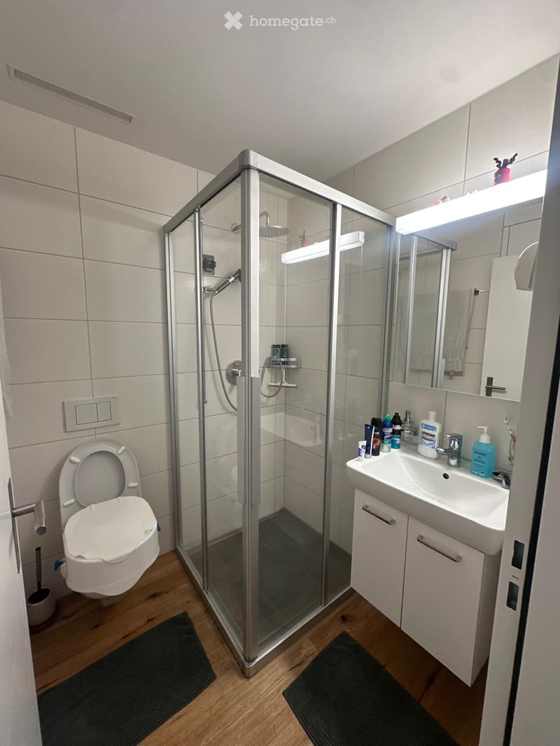 Modern bathroom with a glass-enclosed shower, toilet, sink, and mirrored cabinet. The floor is wooden, and there are two black rugs in front of the shower and sink.