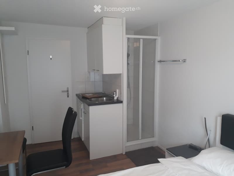A compact studio apartment with a bed, a small table with a chair, a kitchenette with a sink and cabinet, and a walk-in shower.