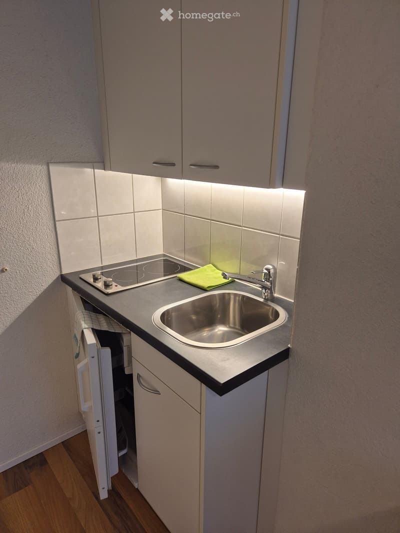 Compact kitchen with a stainless steel sink, induction cooktop, and white cabinets.