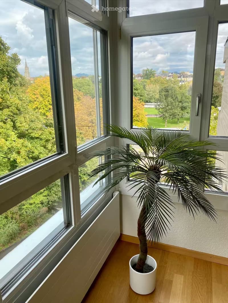 A small, well-lit room with large windows offering a scenic view of trees and a distant cityscape. A potted palm plant is placed near the window on a wooden floor.