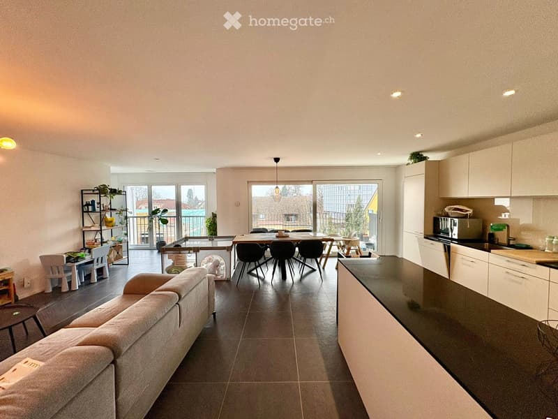 Open kitchen and living room, balcony, modern decor, dining table, couch, plants