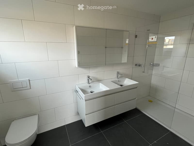Modern bathroom with white tiled walls, double sink, mirror, shower enclosure, and toilet
