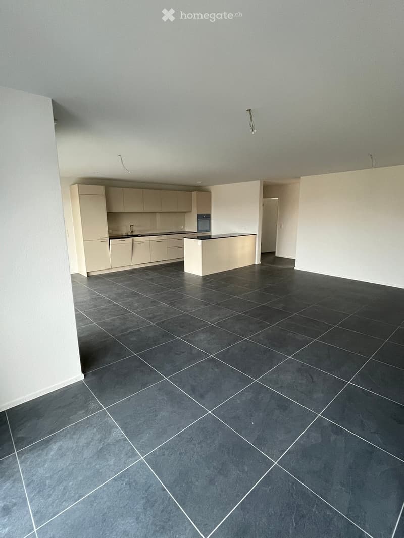 Open-plan kitchen and living room, equipped kitchen, modern tile flooring, high ceiling, and large windows.