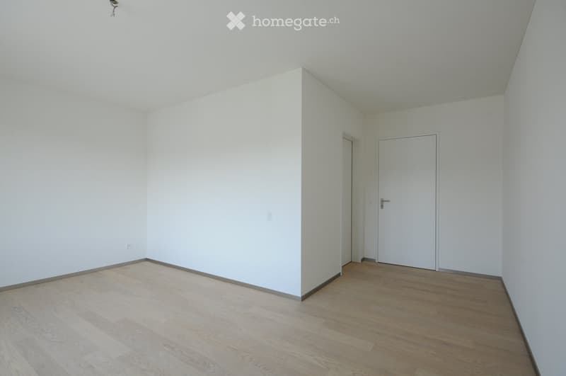Empty room with white walls, wooden flooring, and two doors.