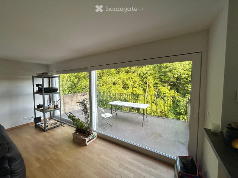 Modern living room with wooden flooring, large sliding glass doors leading to a balcony, a sofa, a shelf with various items, a small table and chair on the balcony, and potted plants near the entrance.