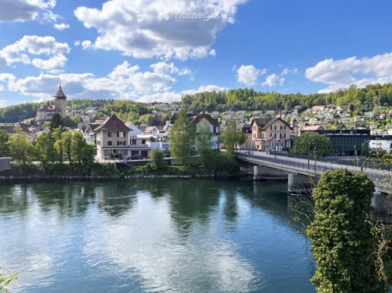 Scenic view of a town with houses, a bridge, and a river, surrounded by greenery and hills.