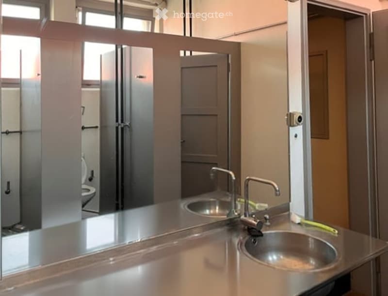 Modern bathroom with stainless steel sink, chrome faucet, and large mirror reflecting a toilet and shower stall.