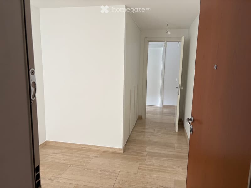 Empty hallway with light wooden flooring, white walls, and a hanging light fixture. A door is visible at the end of the hallway.