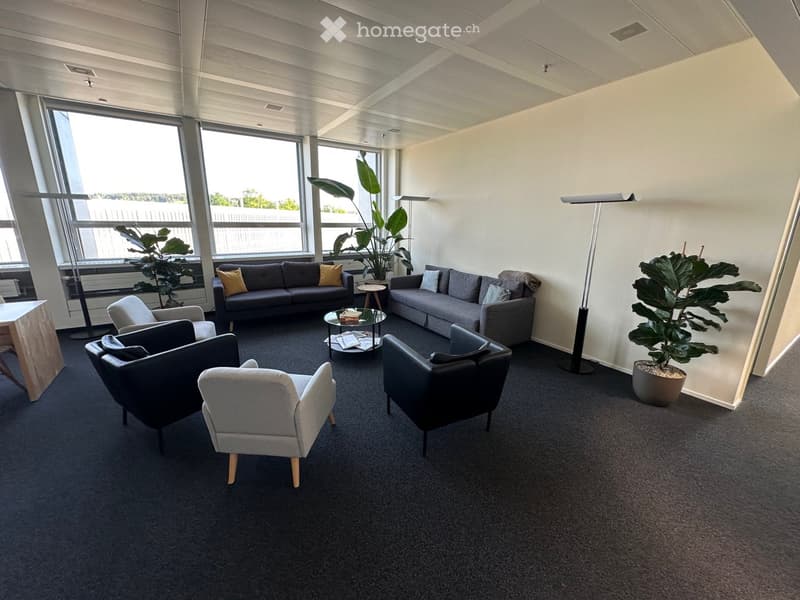 modern office lounge with couches, chairs, coffee table, plants, and large windows