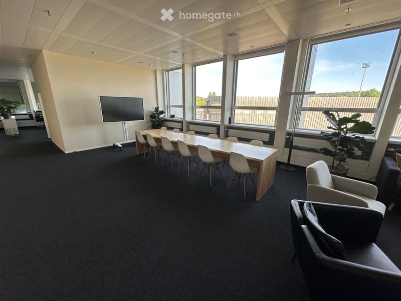 large meeting room with long table, chairs, TV, plants, carpeted floor, large windows