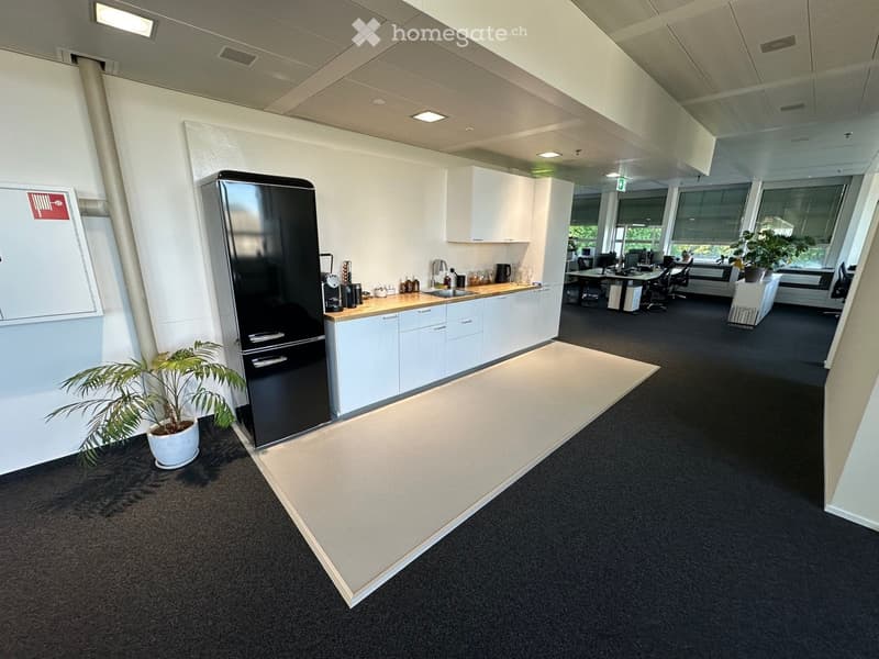 modern kitchen with white cabinets, black fridge, wooden countertop, sink, faucet, plants, carpet