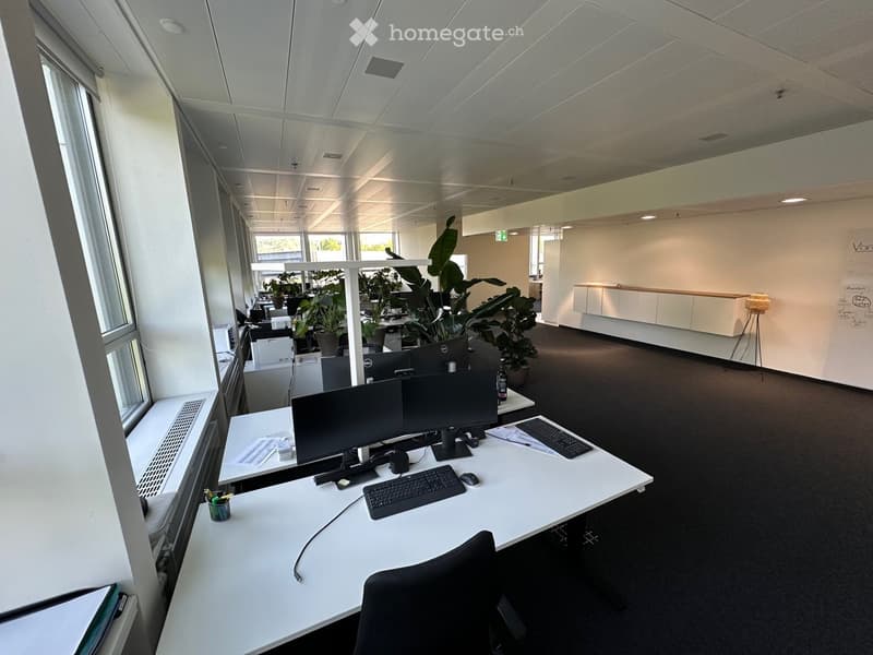 modern office space with white walls, black carpet, white desks, computer monitors, keyboards, mice, plants, and windows