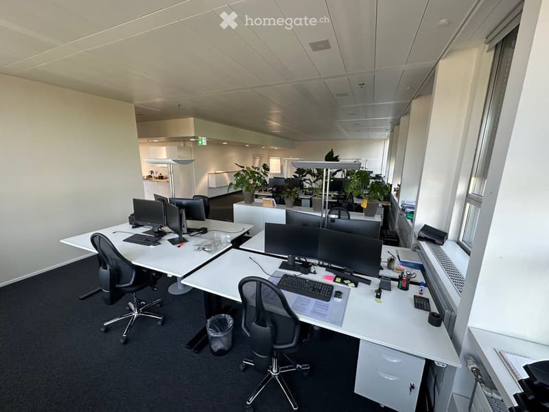 modern office space with white desks, black chairs, computer monitors, keyboards, and potted plants