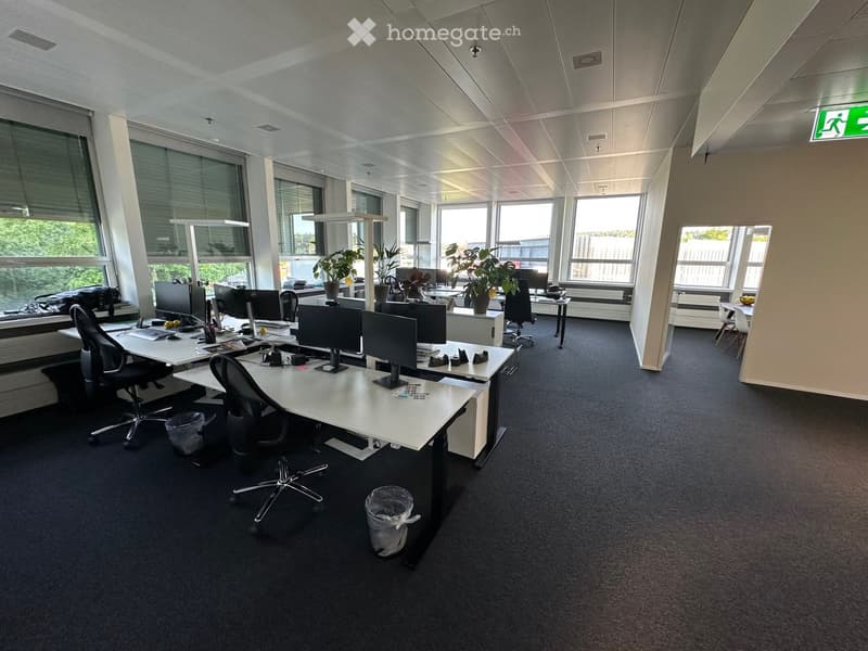 modern office with white walls, black carpet, large windows, office desks, computer monitors, plants, trash bins