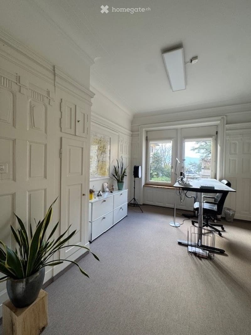 White office with carpeted floor, white walls, white ceiling, office desk, two office chairs, tripod, speaker, cabinet with drawers, desk plants