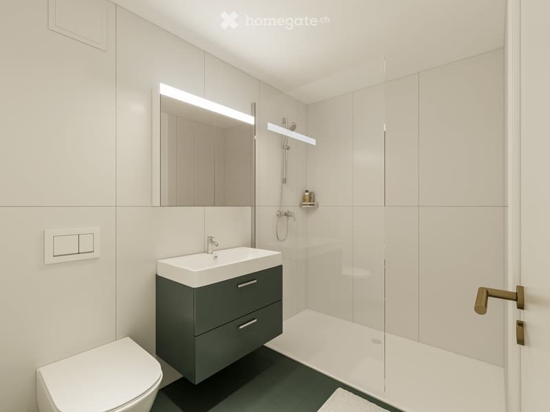 Modern bathroom with a white toilet, dark green sink cabinet, white sink, large mirror with built-in lighting, and a glass-enclosed shower area.