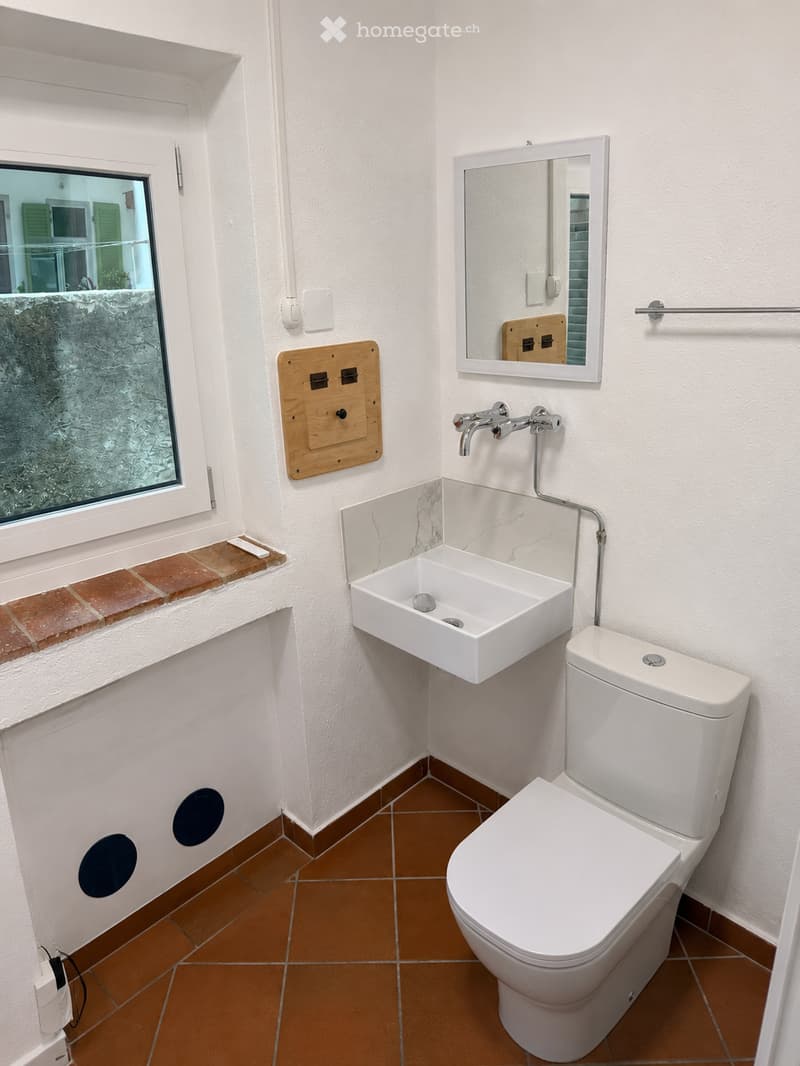 Modern bathroom with white walls, brown tiled floor, white toilet, white sink, and a mirror above the sink.