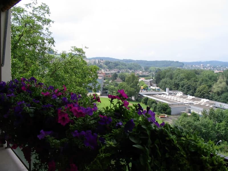 Balcony with vibrant purple flowers in the foreground, overlooking a scenic cityscape with buildings, trees, and distant hills.