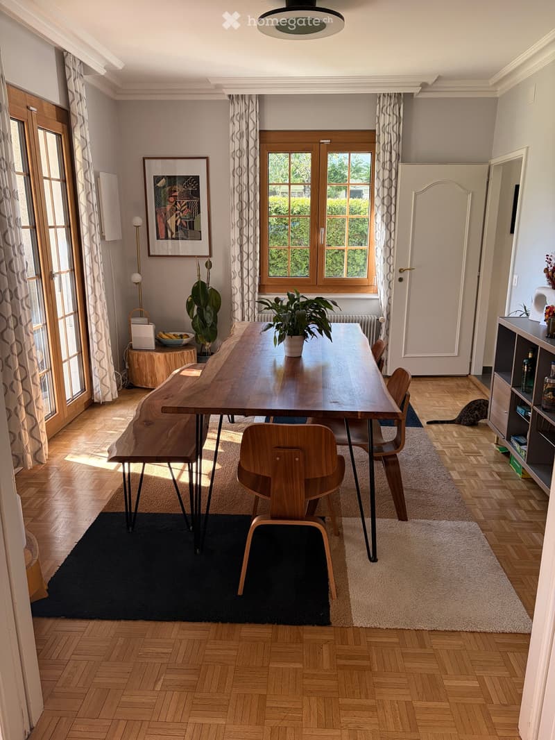 Bright dining area with a long wooden table, chairs, potted plants, and large windows with curtains. A cat is visible near a shelf on the right.