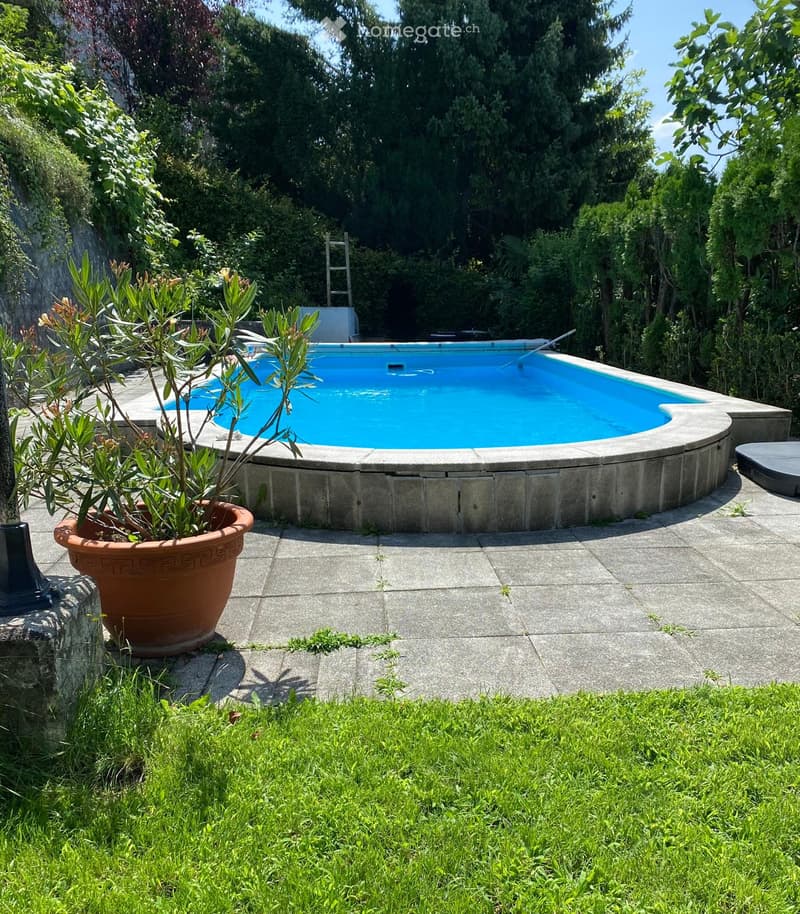 Round swimming pool, paved area, plant in a pot, greenery, wall, ladder