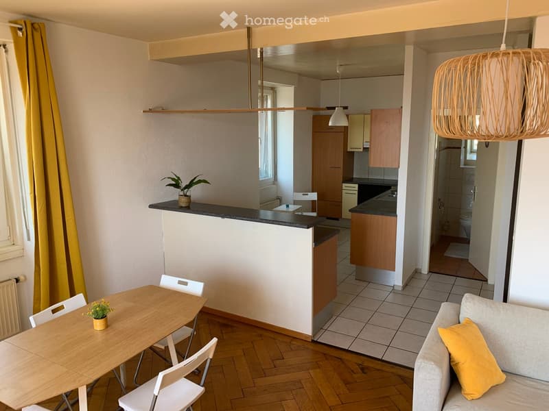 Open-plan living and dining area with a sofa, dining table, chairs, kitchen area, pendant light, and small plants.
