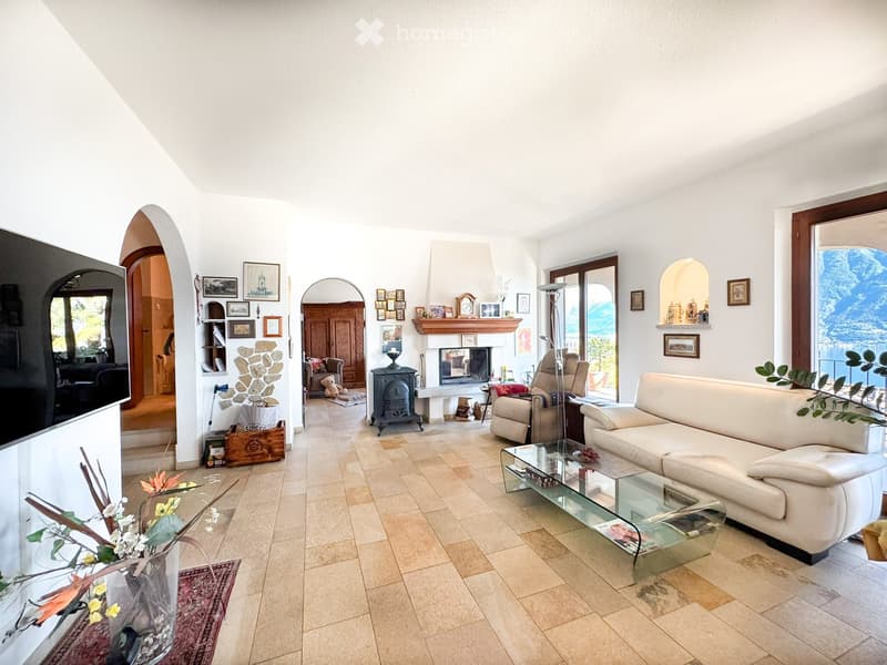 open floor plan, fireplace, leather sofa, glass table, flatscreen tv, chandelier, rug, plant
