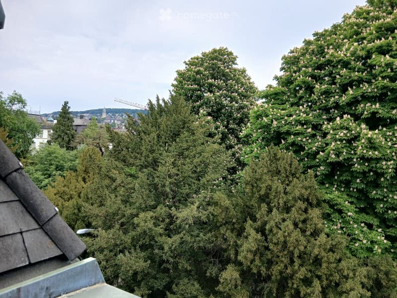 View from a rooftop showing lush green trees and a distant cityscape with buildings and a tower under a cloudy sky.