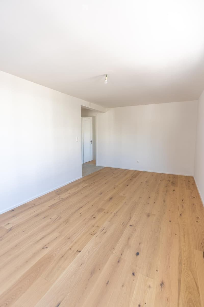 Empty room with light wooden flooring and white walls, featuring a single light fixture on the ceiling and a doorway leading to another room.