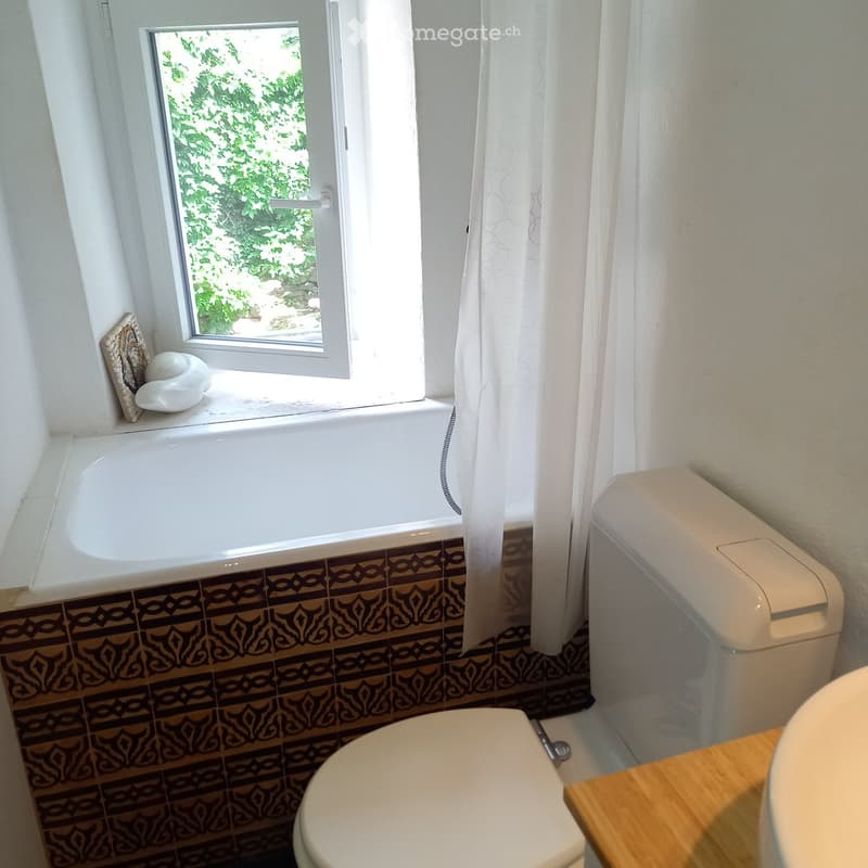 Bathroom with a bathtub, toilet, toilet paper holder, and sink. The room features patterned tiles and a window with a view of greenery.