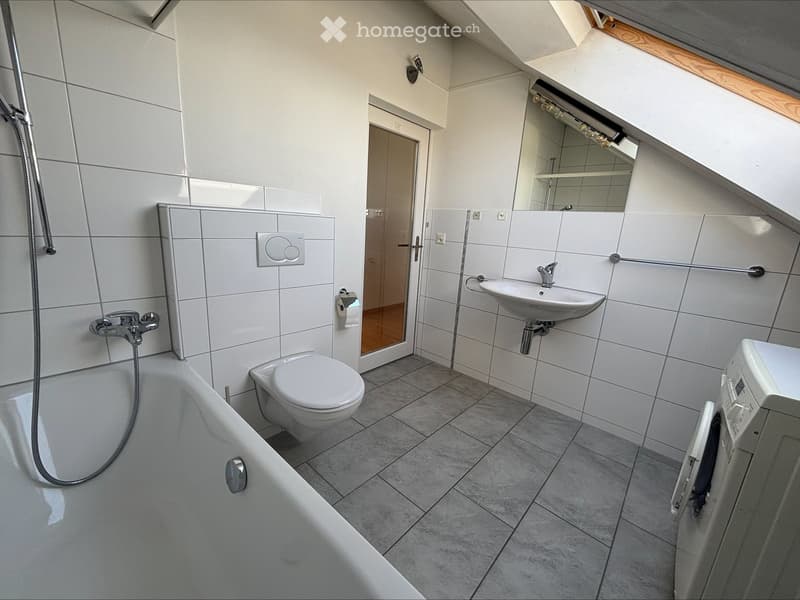 Bathroom with bathtub, toilet, sink, and washing machine