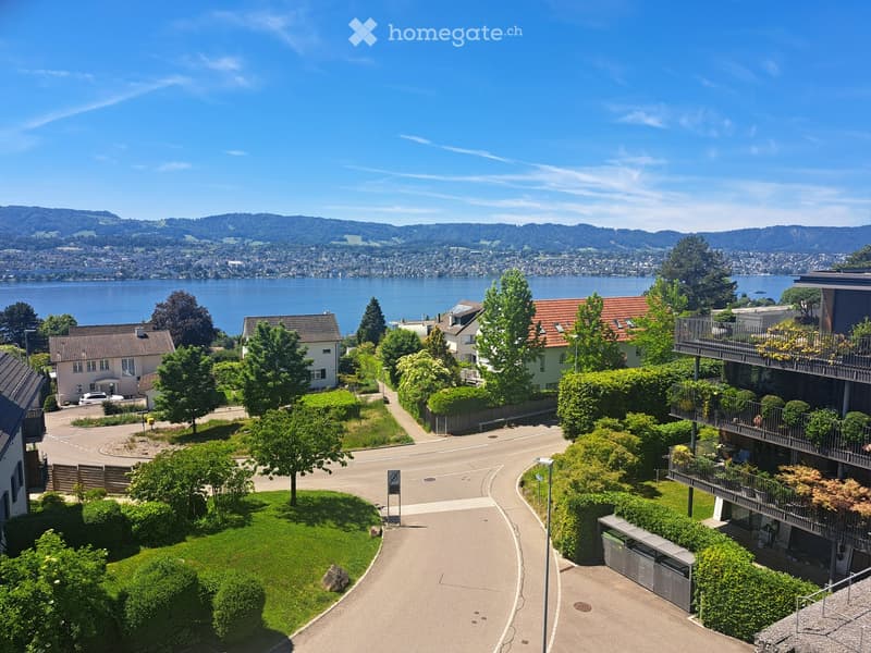 Aerial view of a residential area with houses, trees, and a scenic lake and mountain backdrop.