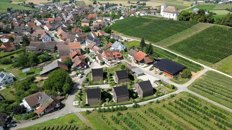 Aerial view of a rural village with houses, farms, vineyards, and a church tower.