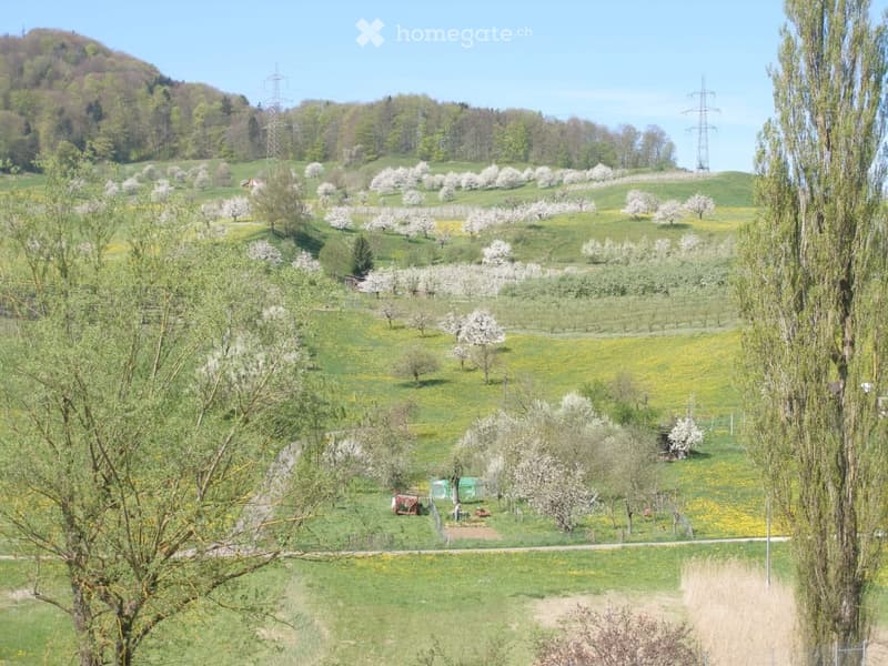 A scenic countryside landscape with rolling hills, blooming trees, and a mix of green fields and flowering orchards.