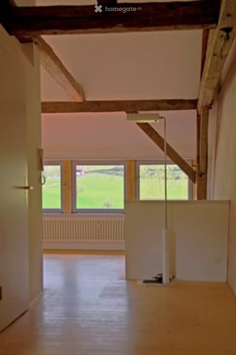 Empty room with wooden flooring, exposed wooden beams, large windows with a view of a green outdoor area, and a radiator below the windows.