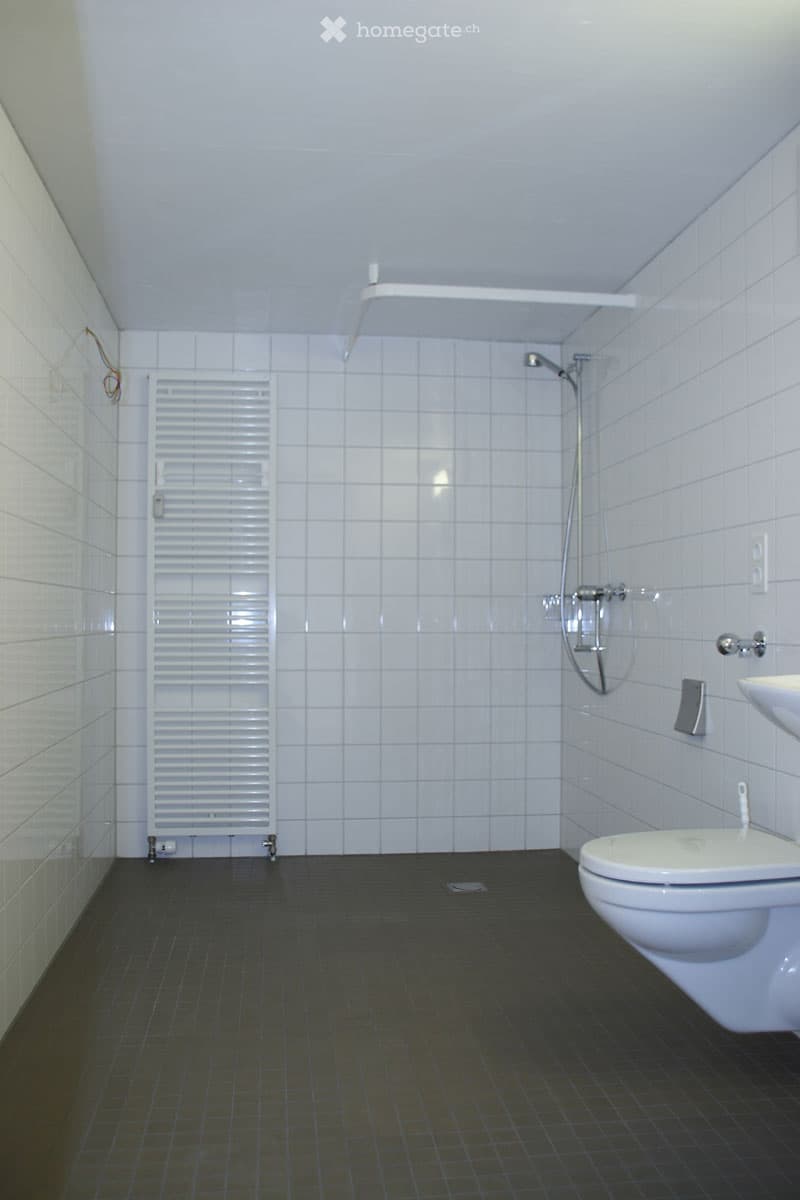 Modern bathroom with white tiles, dark floor, shower, toilet, sink, and radiator.