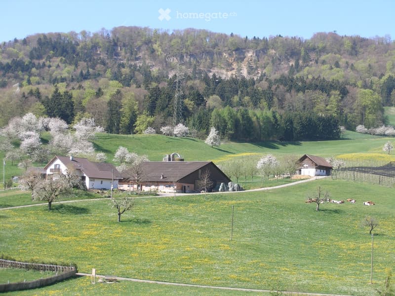 Farm with farm buildings, meadows, trees, and a hillside in the background.