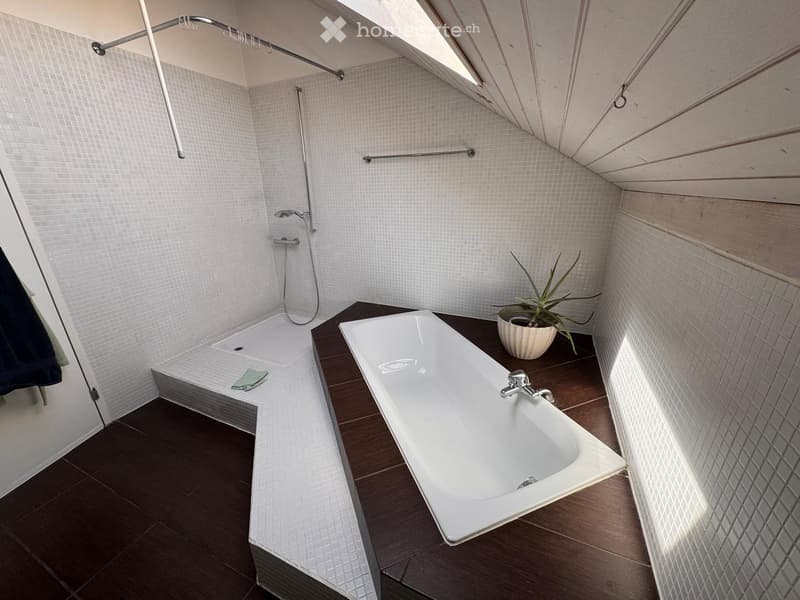 Modern bathroom with a bathtub, shower, and a small plant on the floor. The walls are tiled, and the floor is dark wood.