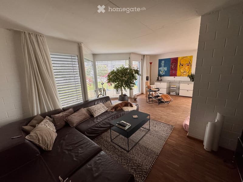 Modern living room with a dark brown sectional sofa, coffee table, area rug, and large windows with blinds. A dog is resting on the sofa, and there is a plant in the corner.
