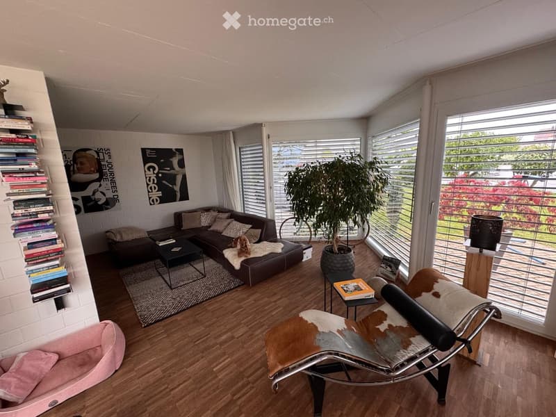 Modern living room with wooden flooring, large windows, a dark brown sectional sofa, a coffee table, a leather chair, a bookshelf, and a potted plant.