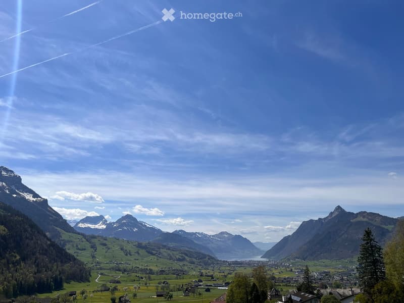 Panoramic view of a valley with green fields, scattered houses, and snow-capped mountains in the background under a clear blue sky.