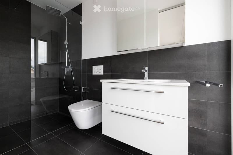 Modern bathroom with black tiles, white sink cabinet, toilet, and shower area.