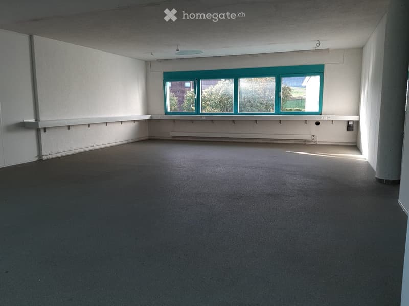 Empty room with grey carpeted floor, white walls, and a large window with green frame. No furniture or equipment present.