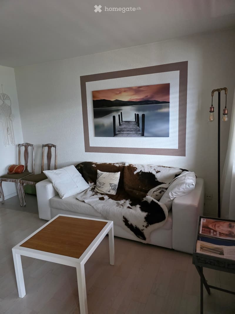 Modern living room with a white sofa, brown and white cowhide throw, white pillows, a wooden coffee table, a framed landscape picture, and a floor lamp with copper accents.