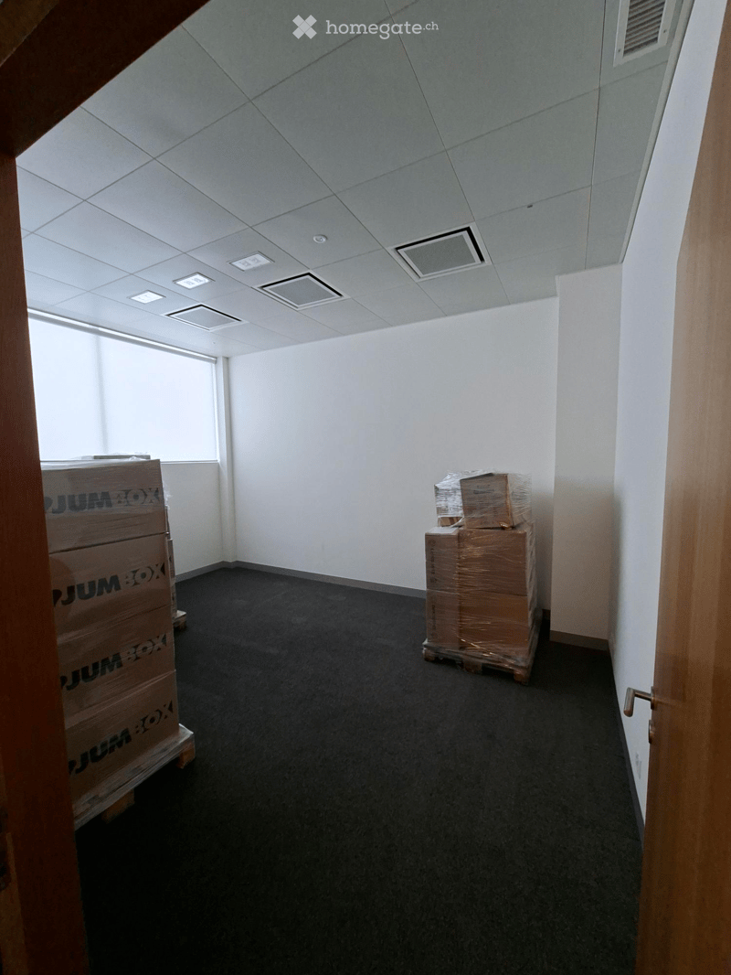Empty room with white walls, grey carpet, and a large window. Two stacks of cardboard boxes are placed against the walls.