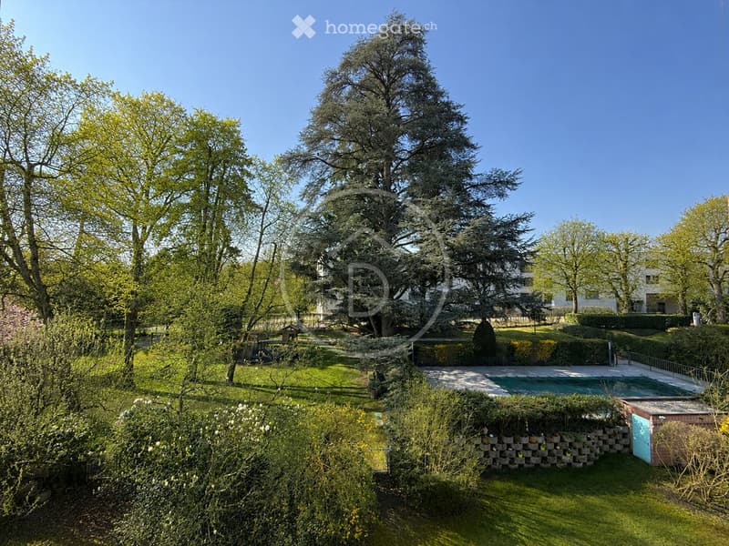A well-maintained garden with a swimming pool, surrounded by trees and greenery, with a clear blue sky overhead.