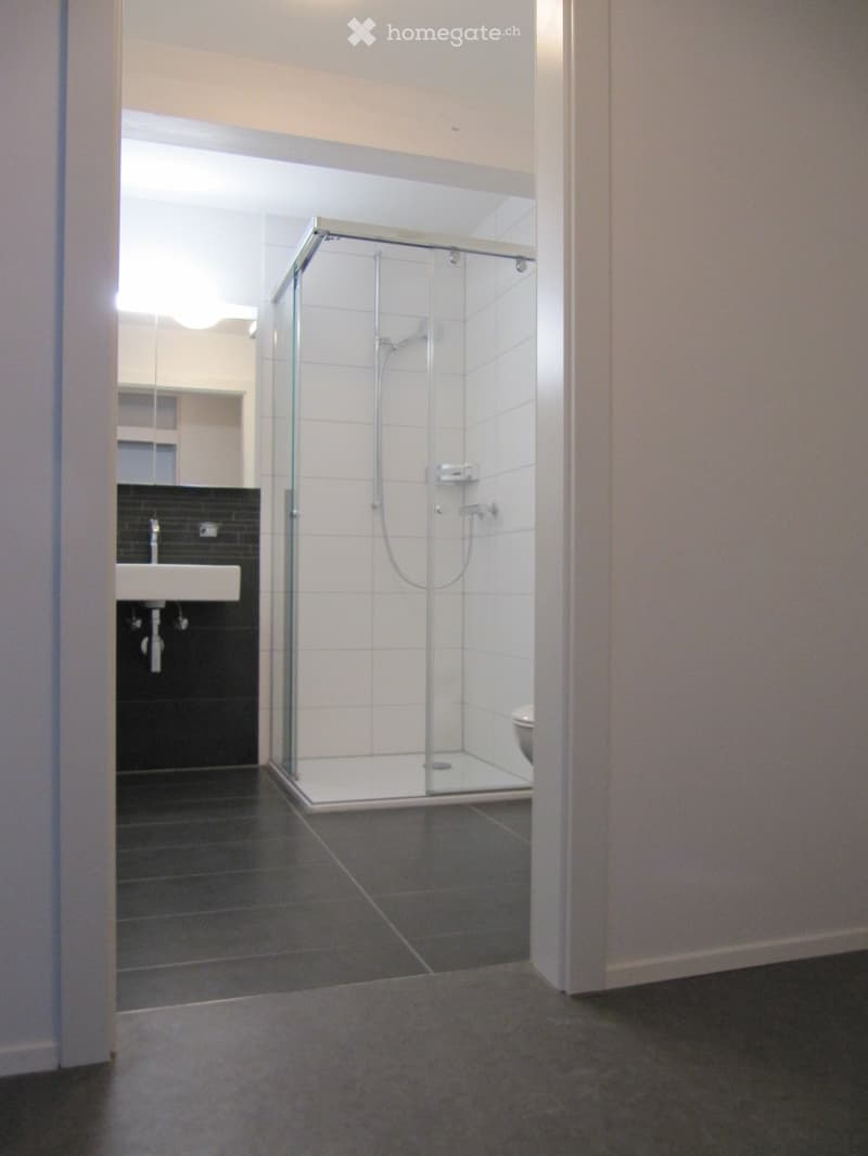 Bathroom. Modern bathroom with a glass-enclosed shower stall, a white sink with a black countertop, and a toilet. The floor is tiled in dark grey, and the walls are white with a black accent wall behind the sink.
