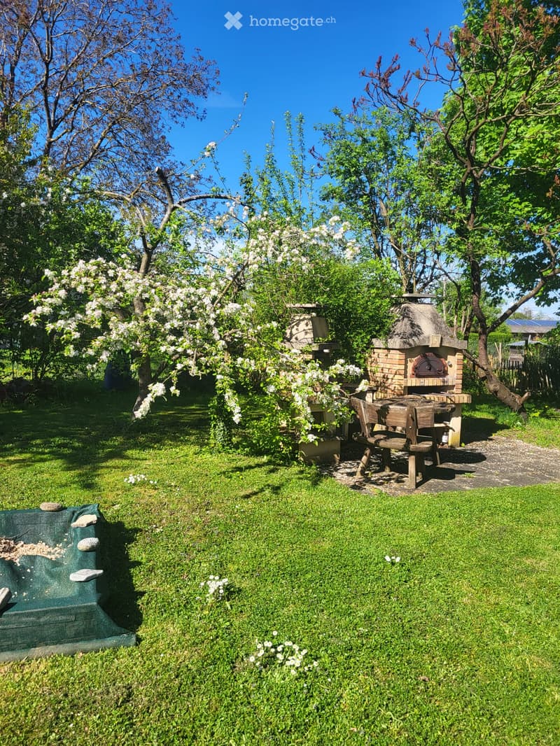 green grass, brick oven, wooden table and chairs, apple tree, green net