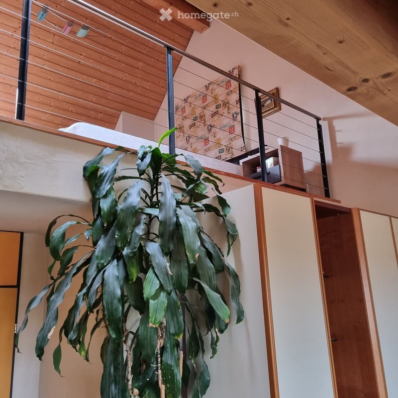 A room with a balcony, a large plant, a wooden ceiling, a white wall, a wooden cabinet, and a picture frame on the wall.