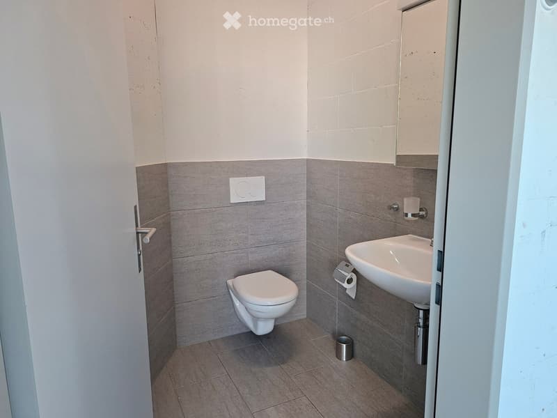 Modern bathroom with a toilet, sink, and mirror. Grey tiled walls and floor, white fixtures.