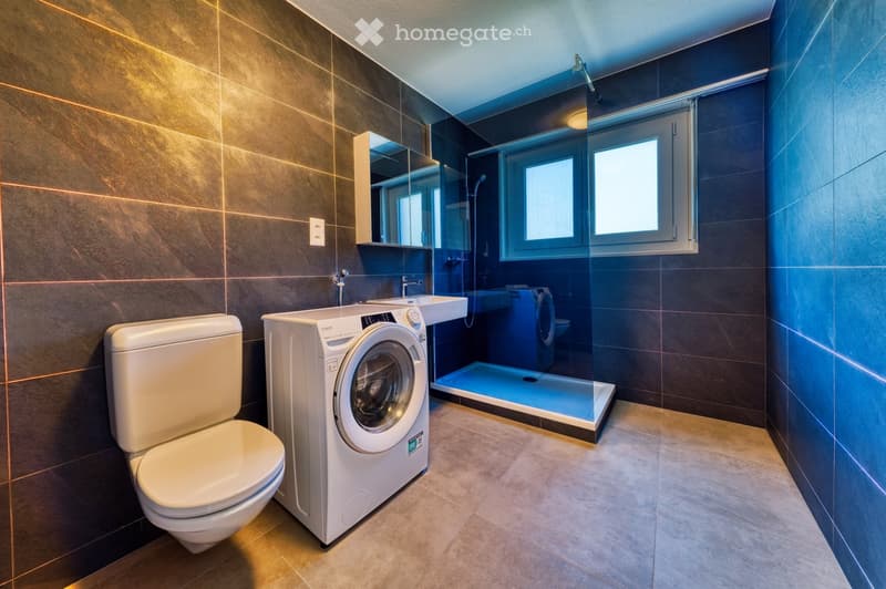 Modern bathroom with dark tiled walls, a toilet, a washing machine, a sink, a mirror, and a glass-enclosed shower area with a blue accent lighting.